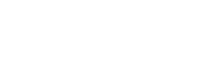 Scrum Network logo